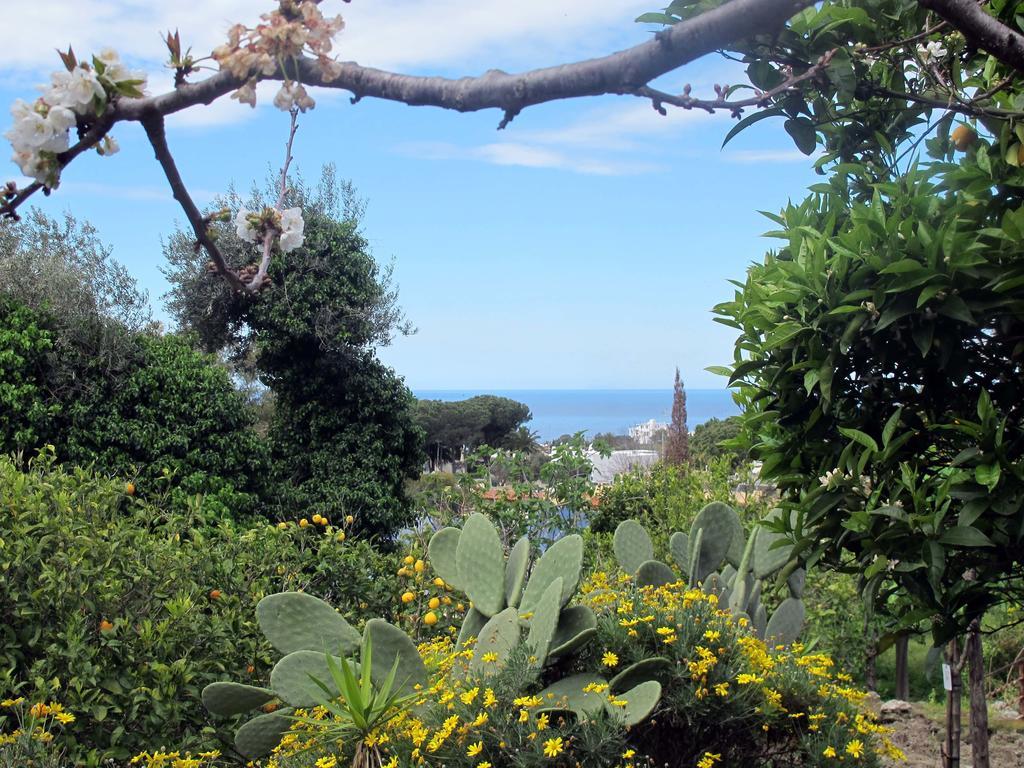 Aparthotel Villa Marinù Forio di Ischia Esterno foto